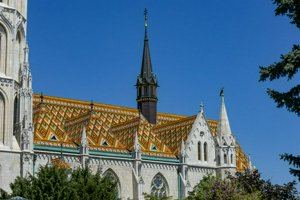 IMG_3256.jpg