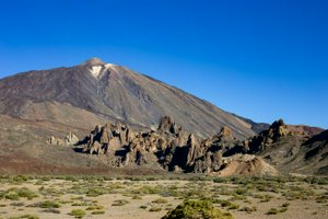 IMG_6798.jpg