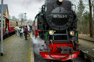 IMG_1150.jpg