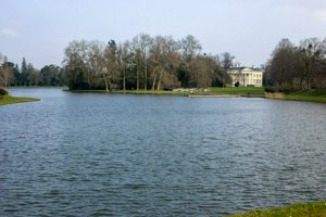 IMG_7049.jpg