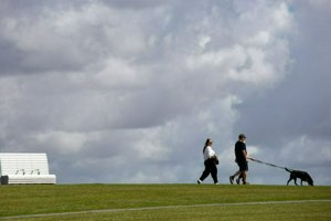 IMG_6761.jpg