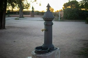 IMG_8778.jpg