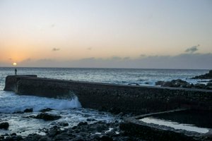 IMG_3199.jpg