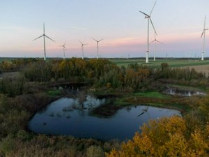 DJI_0255.jpg
