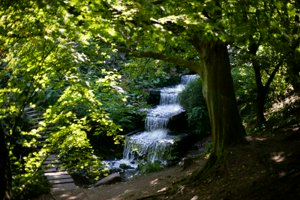 IMG_5064.jpg