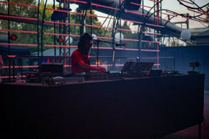 IMG_2658.jpg