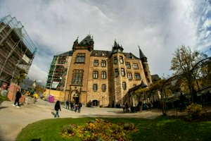 IMG_0070.jpg