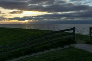 IMG_2509.jpg