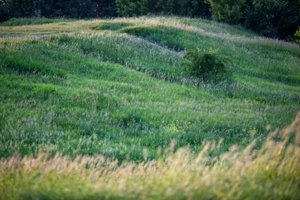 IMG_1792.jpg
