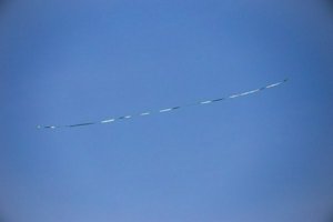 IMG_7963.jpg