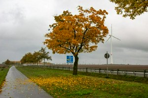 IMG_6785.jpg
