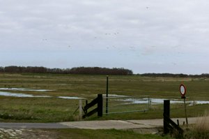 IMG_5898.jpg