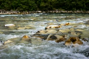 IMG_6854.jpg