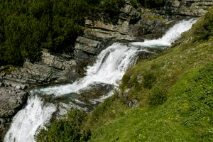 IMG_1505.jpg