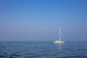 IMG_9962.jpg