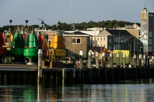 IMG_6351.jpg