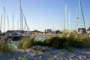 IMG_7385.jpg