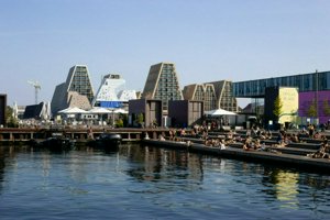 IMG_7954.jpg