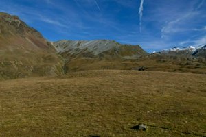 IMG_1898.jpg
