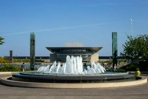 IMG_7915.jpg