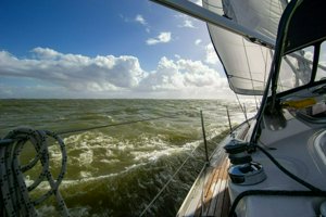 IMG_3148.jpg