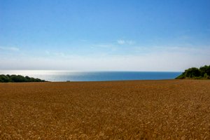 IMG_3510.jpg