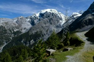 IMG_1807.jpg