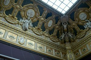 IMG_8146.jpg