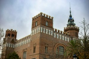 IMG_9512_1.jpg