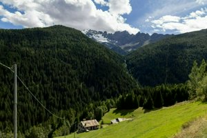 IMG_0734.jpg