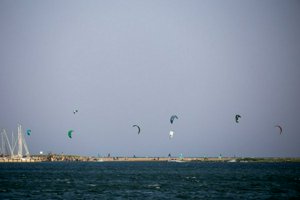 IMG_8825.jpg