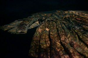 IMG_1442.jpg