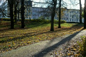 IMG_0101.jpg