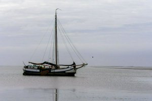 IMG_7584.jpg