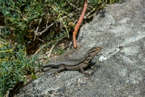 IMG_6138.jpg