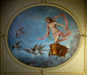 IMG_7749.jpg