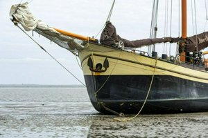 IMG_7846.jpg