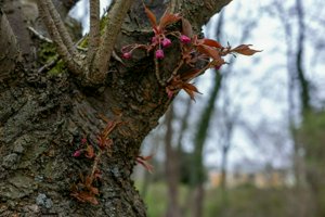 IMG_9699.jpg