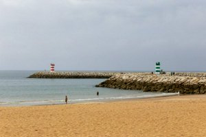 IMG_7377.jpg