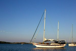 IMG_7278.jpg