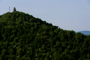 IMG_4005.jpg