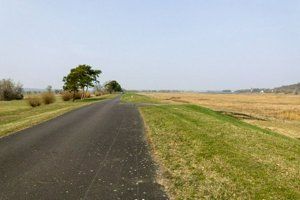 IMG_8838.jpg