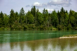 IMG_5100.jpg