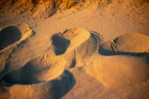 IMG_7490.jpg