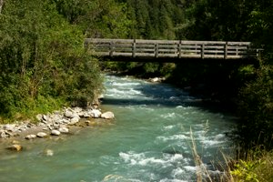 IMG_5574.jpg