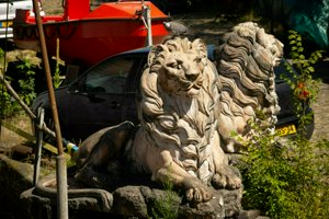 IMG_4509.jpg