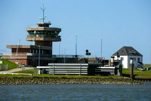 IMG_6667.jpg