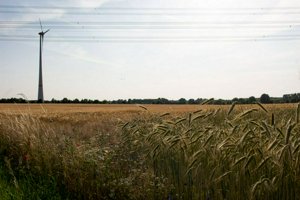 IMG_9855.jpg
