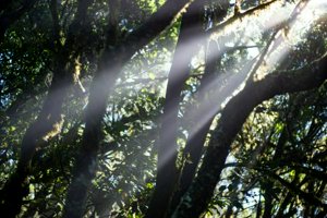 IMG_2782.jpg
