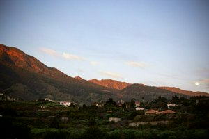 IMG_3710-Улучшено-NR.jpg